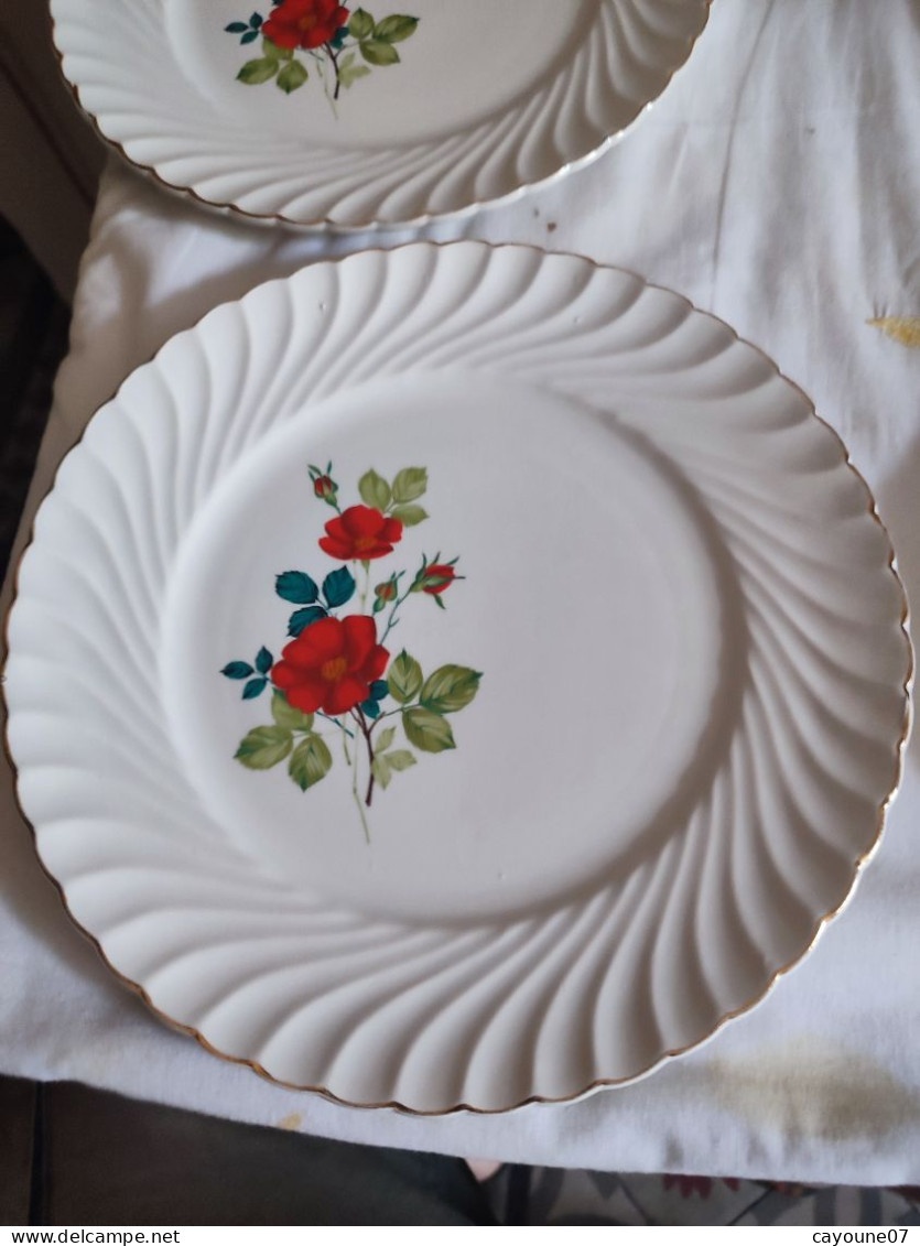 Cinq Assiettes Plates Faïence Keller & Guérin Décor De Fleurs  Modèle Tradition - Lunéville (FRA)