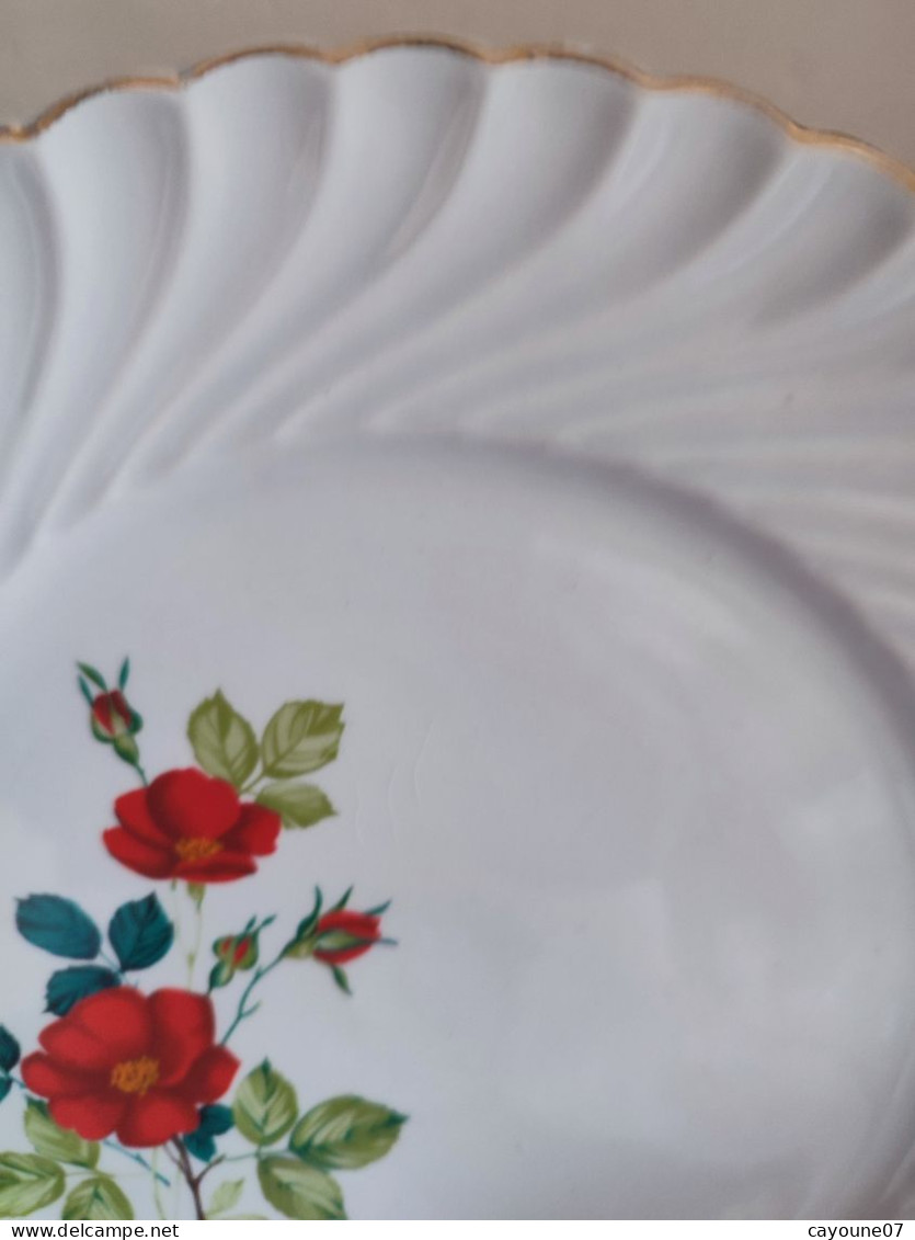 Cinq assiettes plates faïence Keller & Guérin décor de fleurs  modèle tradition