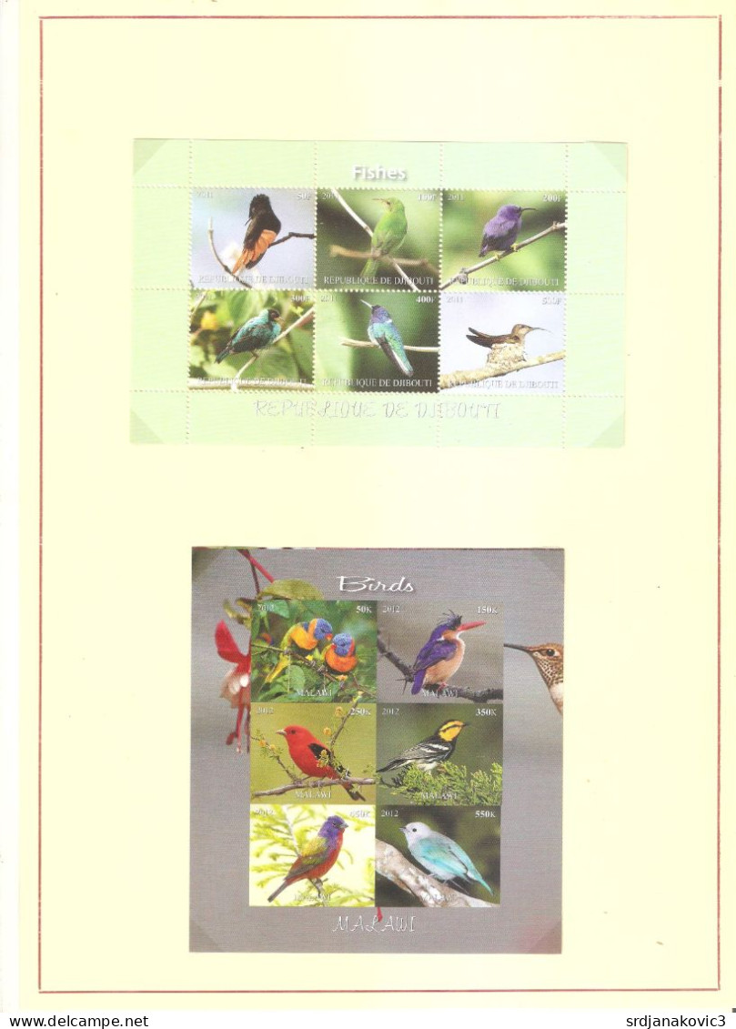 Birds MNH** - Piciformes (pájaros Carpinteros)