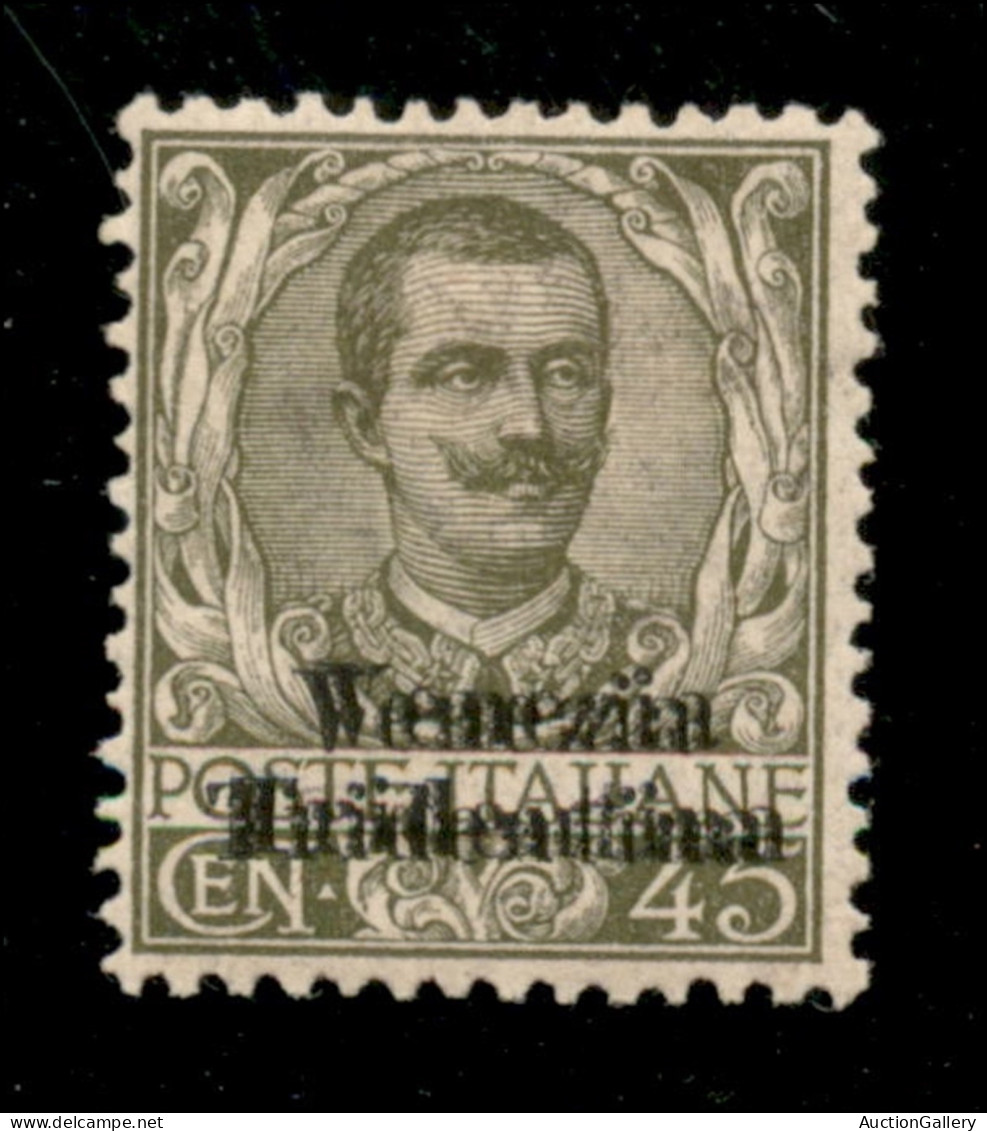 Occupazioni I Guerra Mondiale - Trentino-Alto Adige - 1918 - 45 Cent (25b) Con Doppia Soprastampa - Gomma Originale - Ol - Altri & Non Classificati