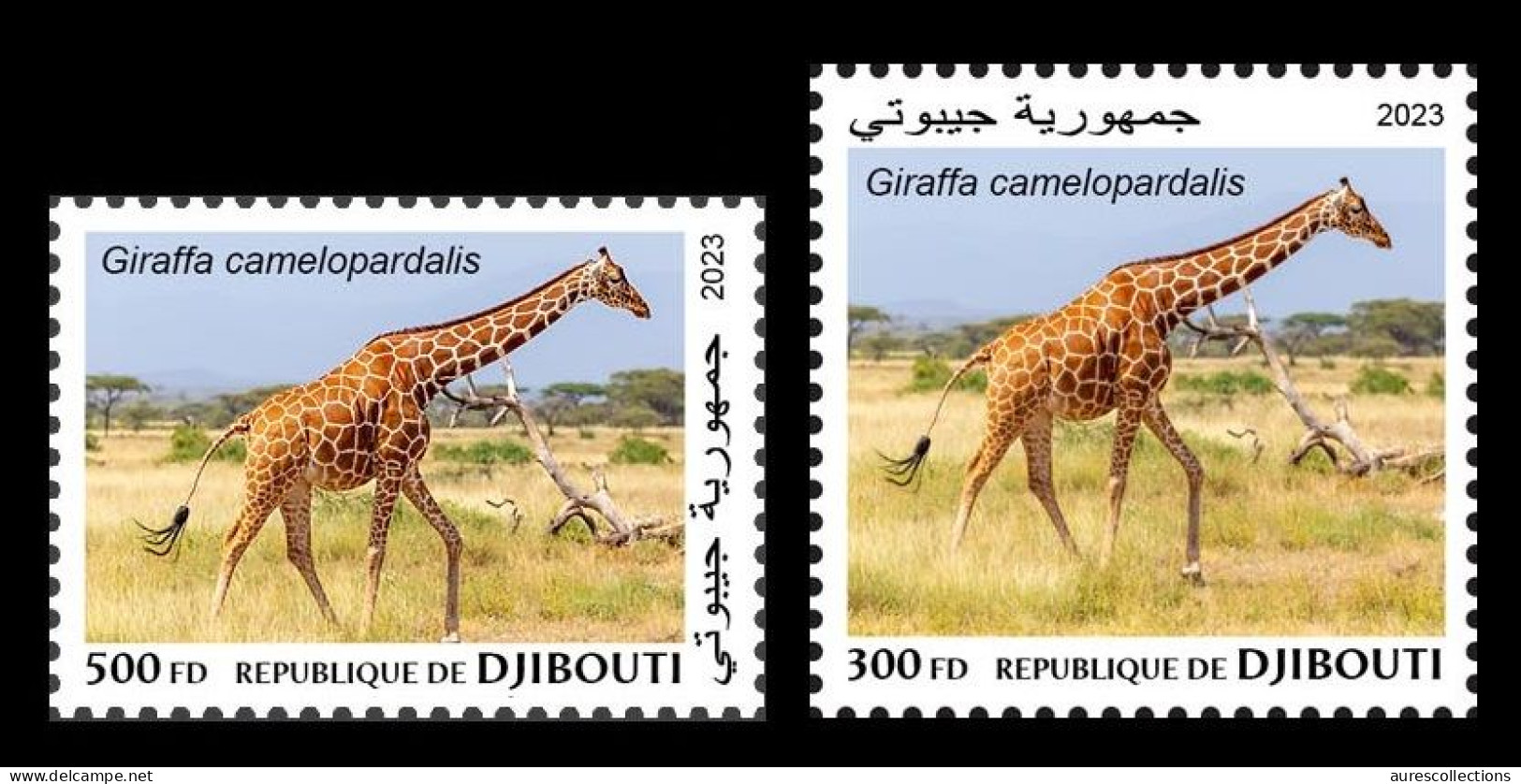 DJIBOUTI 2023 - SET 2V 300F & 500F - GIRAFE GIRAFES GIRAFFE GIRAFFES - MNH - Giraffen