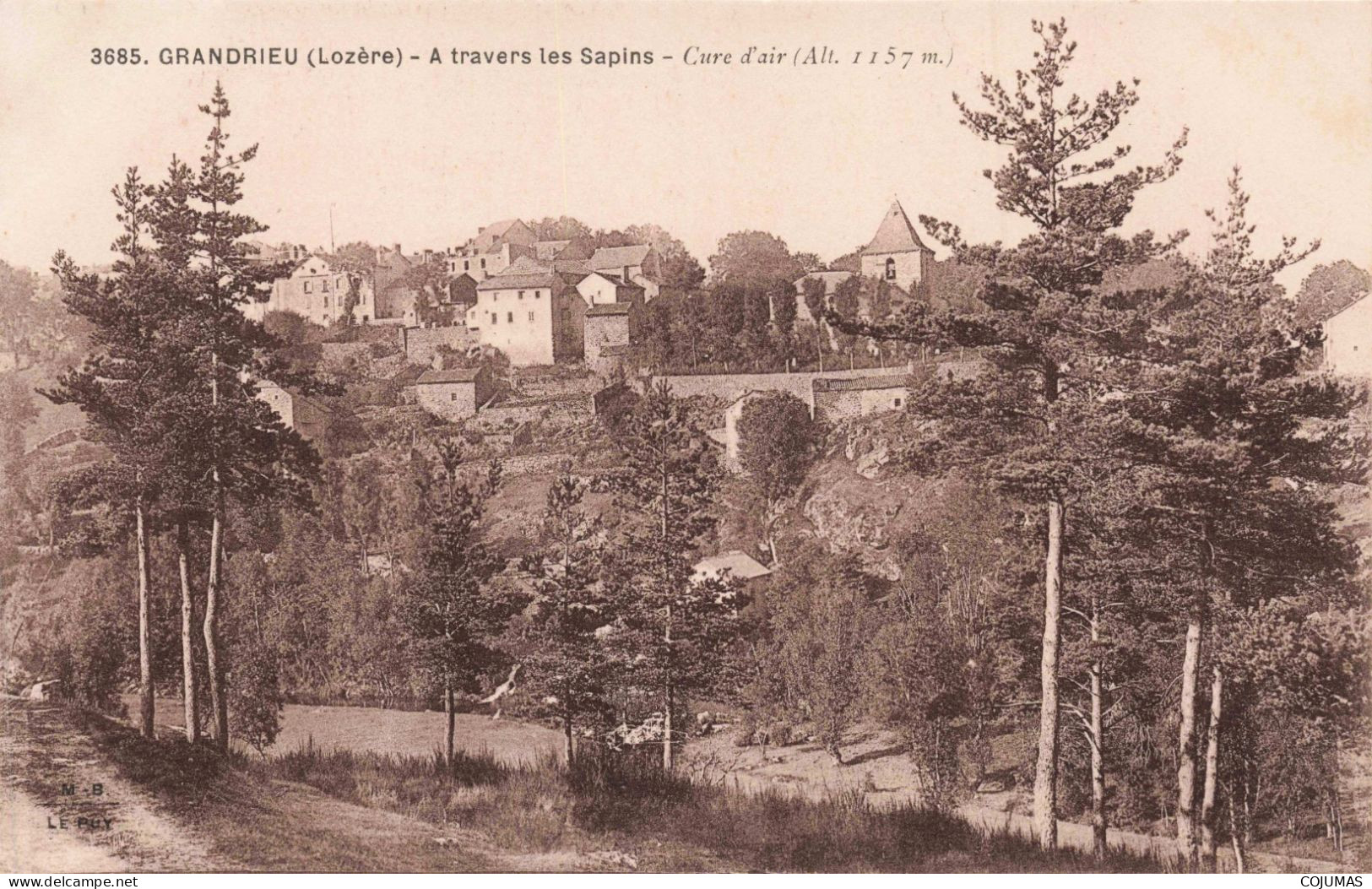 48 - GRANDRIEU _S22153_ A Travers Les Sapins - Cure D'Air - Gandrieux Saint Amans