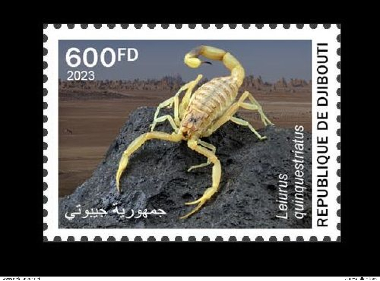 DJIBOUTI 2023 STAMP 1V - POISONOUS TOXIC VENOMOUS SPECIES - SCORPION SCORPIONS ARAIGNEES SPIDER SPIDERS - MNH - Spiders