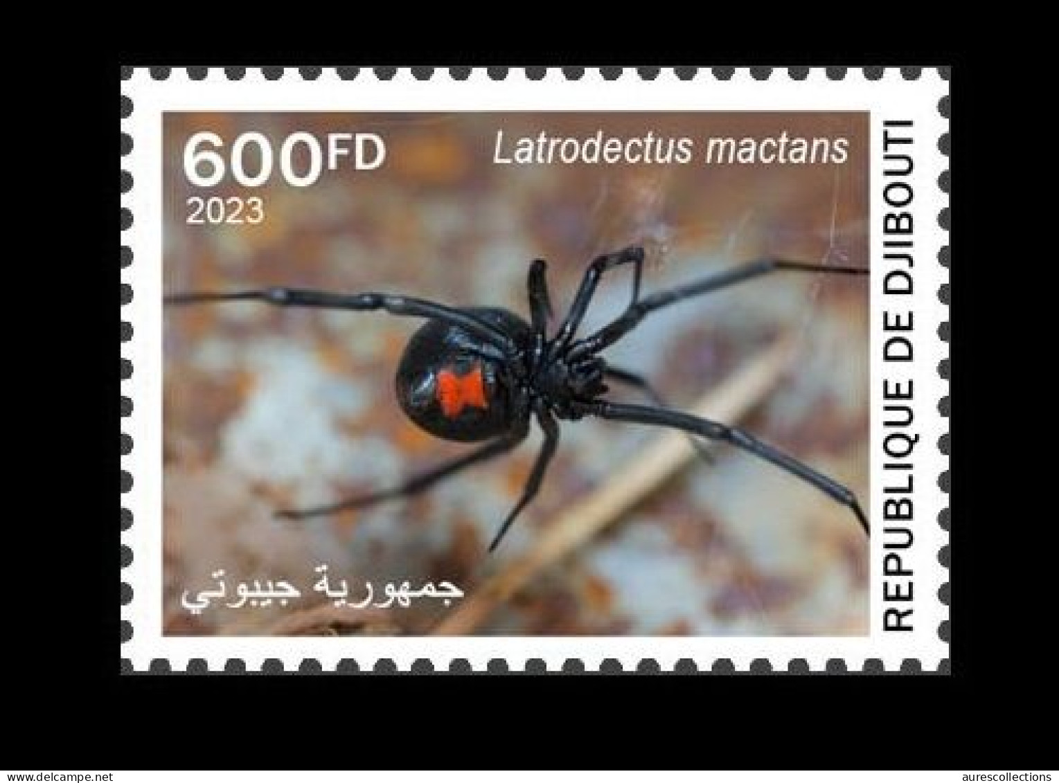 DJIBOUTI 2023 STAMP 1V - POISONOUS TOXIC VENOMOUS SPECIES - BLACK WIDOW VEUVE NOIRE ARAIGNEES SPIDER SPIDERS - MNH - Arañas