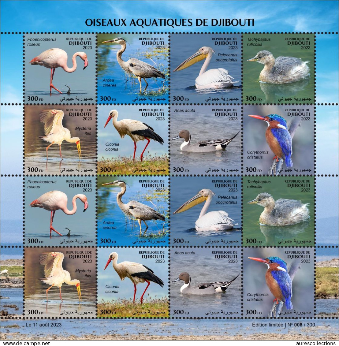 DJIBOUTI 2023 - M/S 16V - WATER SEA AQUATIC BIRDS BIRD OISEAUX AQUATIQUES - FLAMINGO PELICAN DUCK DUCKS CANARDS - MNH - Fenicotteri