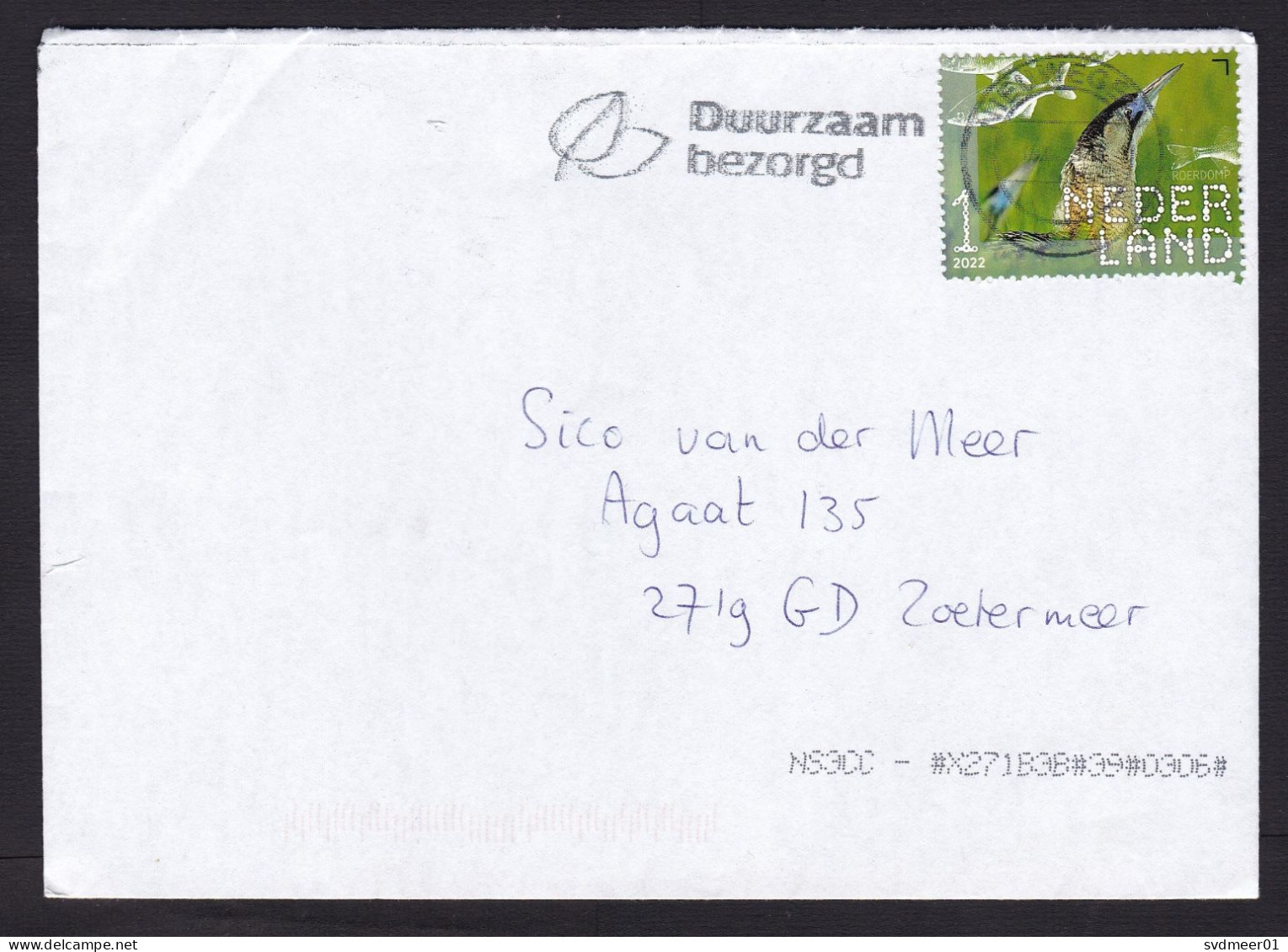 Netherlands: Cover, 2023, 1 Stamp, Bittern Bird, Animal (minor Crease) - Lettres & Documents