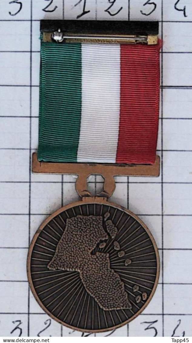 Médailles  > Dispersion D'une Collection Vendu Au Prix Achetée >Army Mexicain Border  > Réf:Cl USA P 7/ 3 - Estados Unidos