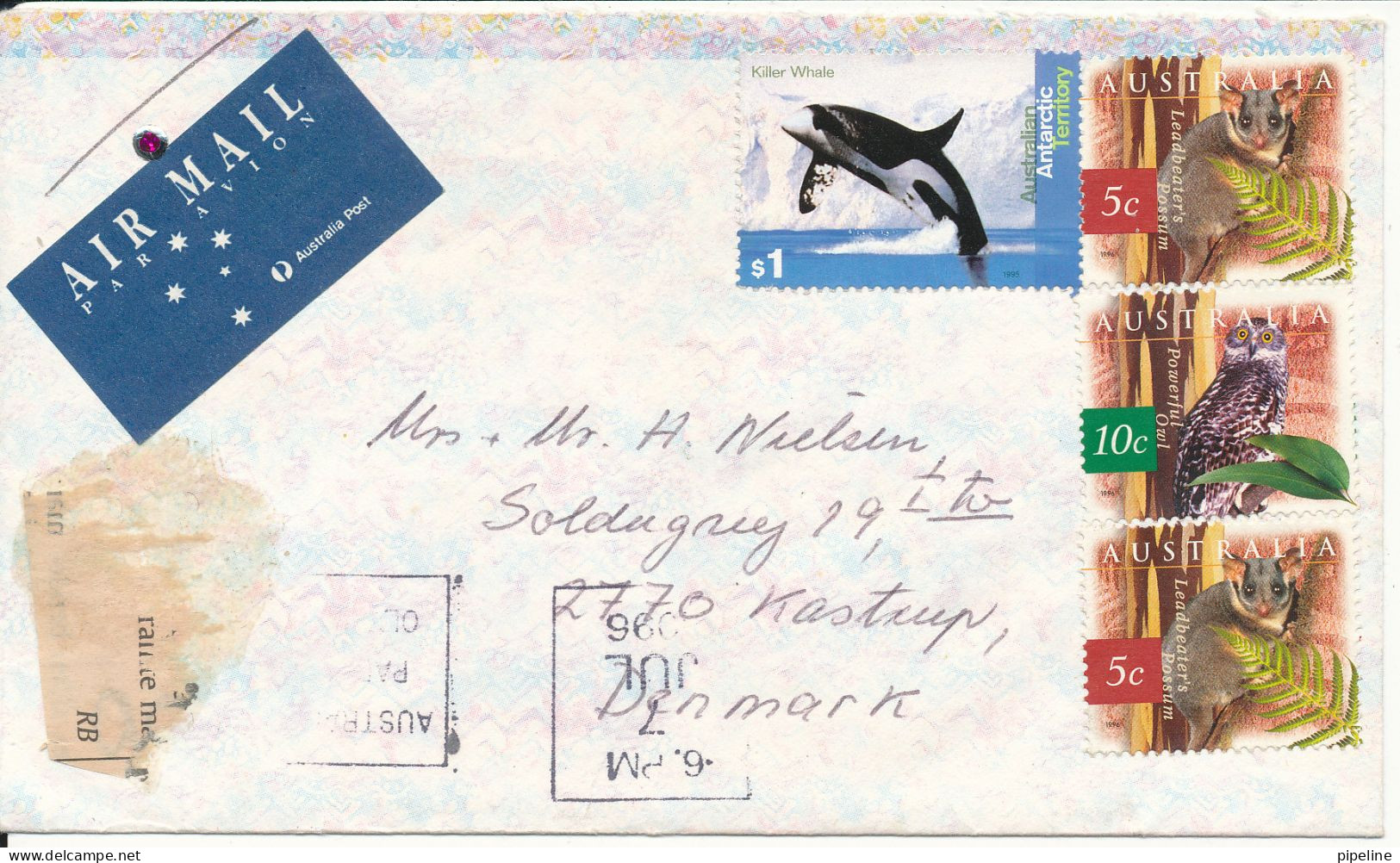 Australia Cover Sent Air Mail To Denmark 7-7-1996 With More Topic Stamps Incl. A.A.T. Whale - Brieven En Documenten