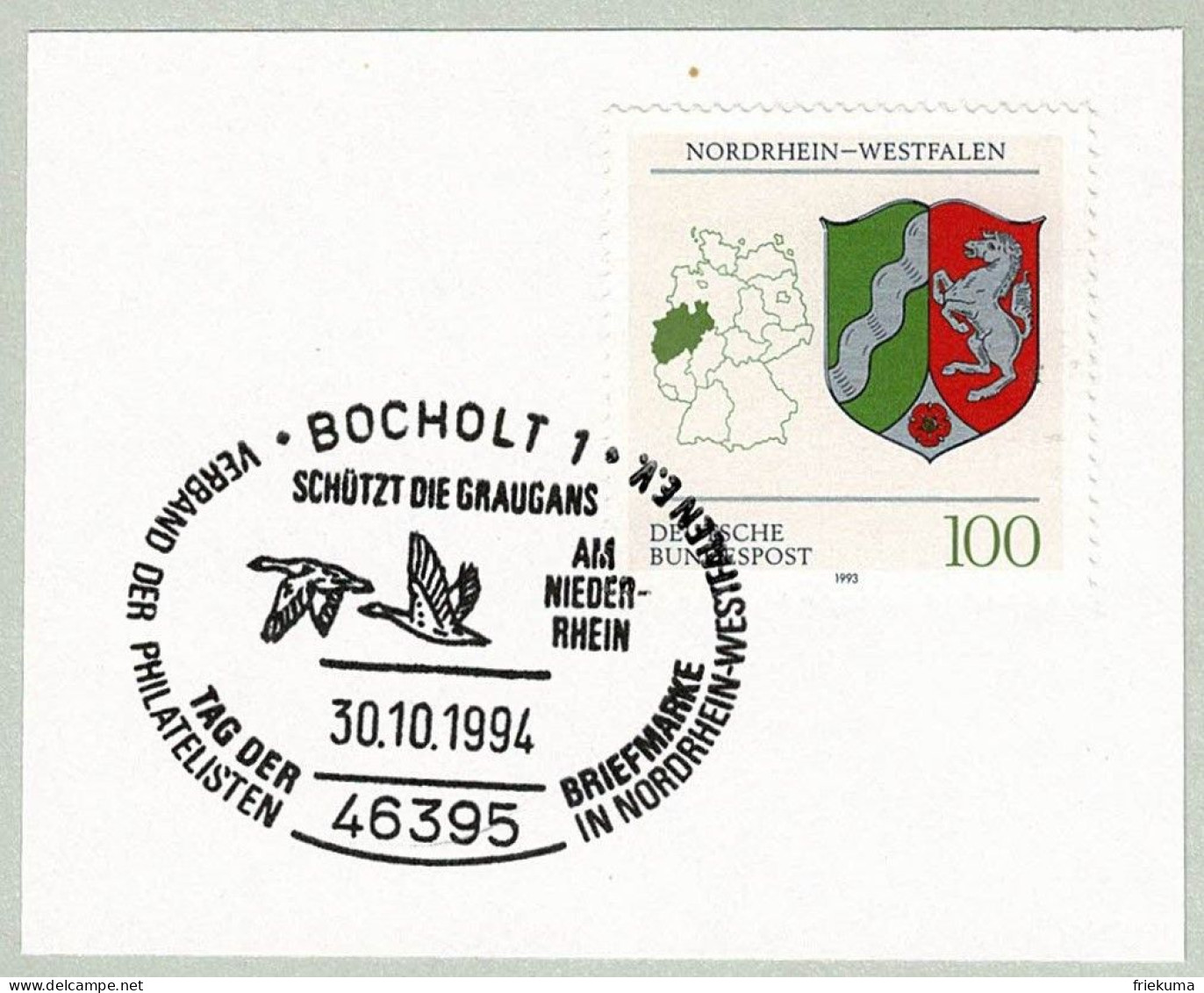 Deutschland 1994, Sonderstempel Bocholt, Schützt Die Graugans / Protéger L'oie Cendrée / Protects The Greylag Goose - Gänsevögel