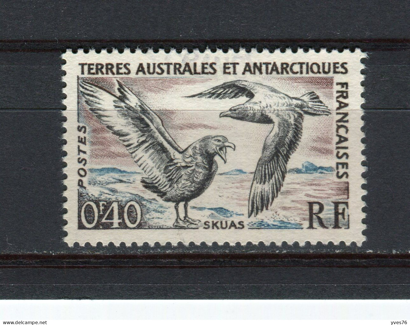 T.A.A.F. - Y&T N° 13° - Faune - Oiseaux - Skuas - Used Stamps