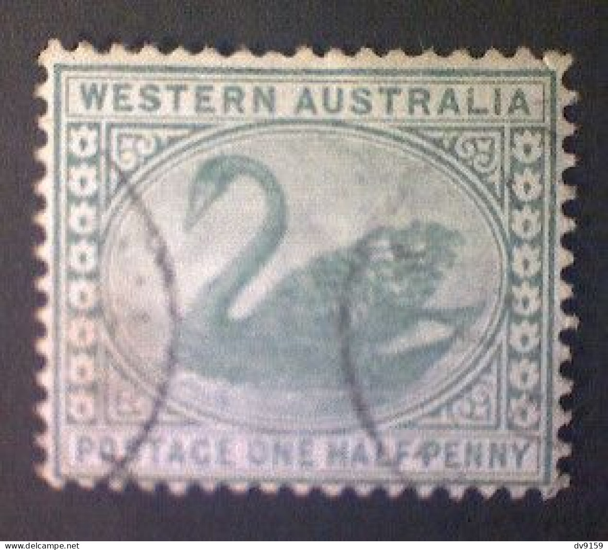 Australia-Western Australia, Scott #58, Used (o), 1885, Black Swan, ½d, Green - Gebruikt