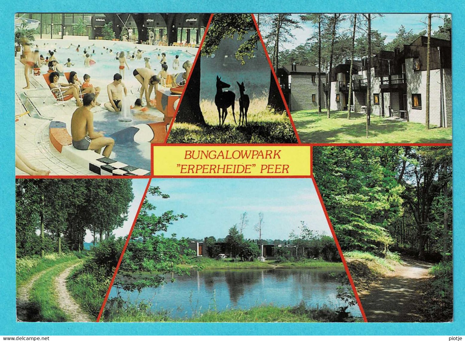 * Peer (Limburg) * Erperheide, Een 5 Sterren Bungalowpark Van Sporthuis Centrum, Pischine, Zwembad, Cerf, Bikini - Peer