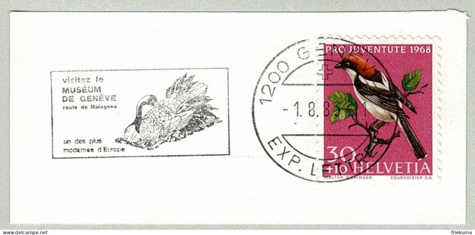 Schweiz / Helvetia 1983, Flaggenstempel Muséum De Genève, Schwan / Cygne / Swan / Cygnus - Swans