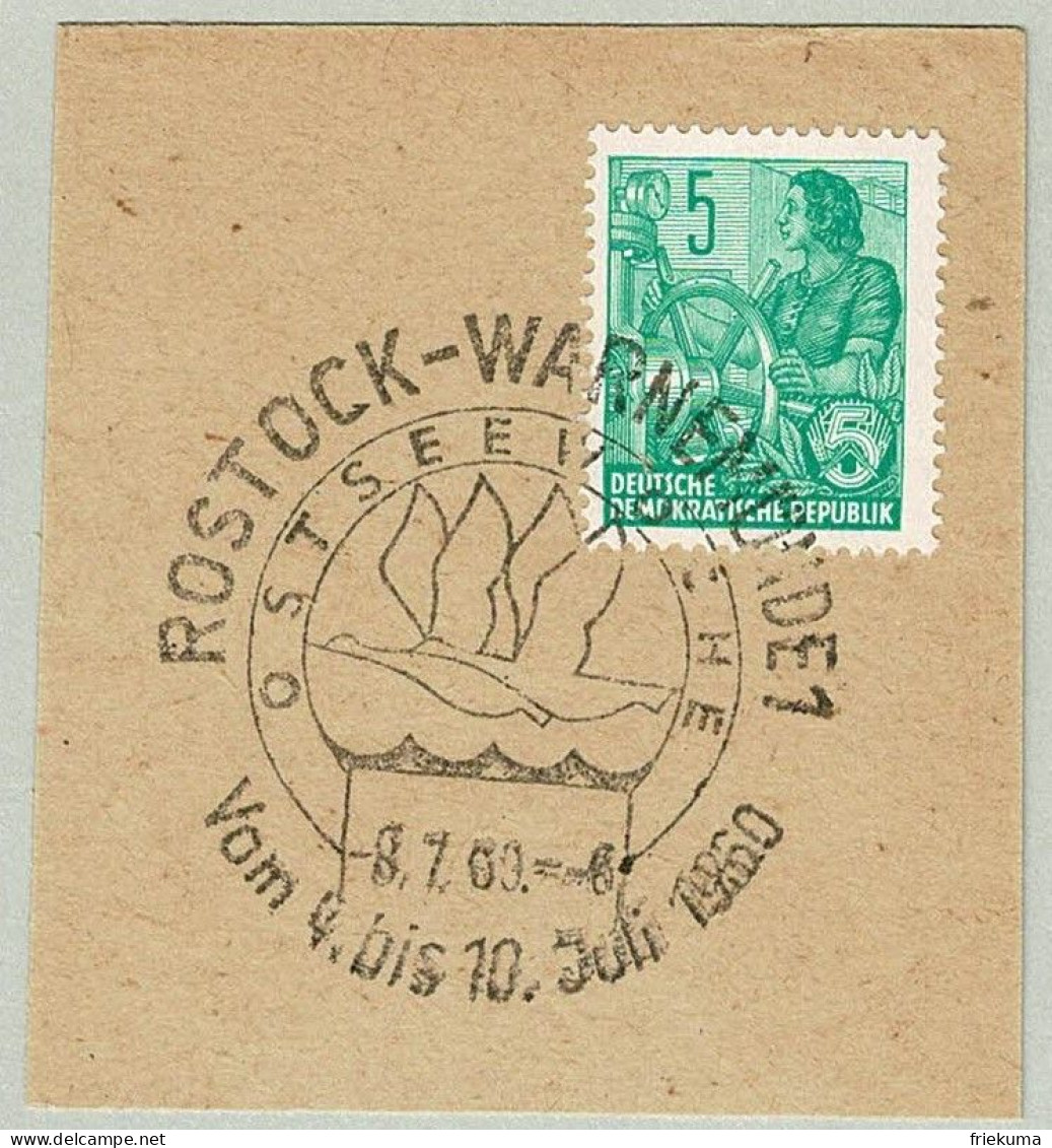 DDR 1960, Sonderstempel Ostseewoche Rostock-Warnemünde, Schwan / Cygne / Swan / Cygnus - Cisnes