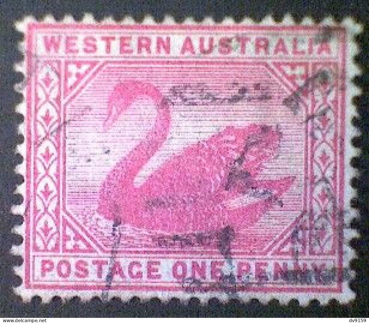 Australia-Western Australia, Scott #73, Used (o), 1898, Black Swan, 1d, Carmine Rose - Usati