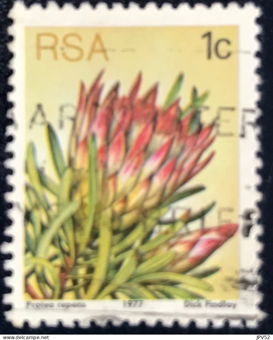 South Africa - RSA - C14/22 - 1977 - (°)used - Michel 512 - Protea - Oblitérés