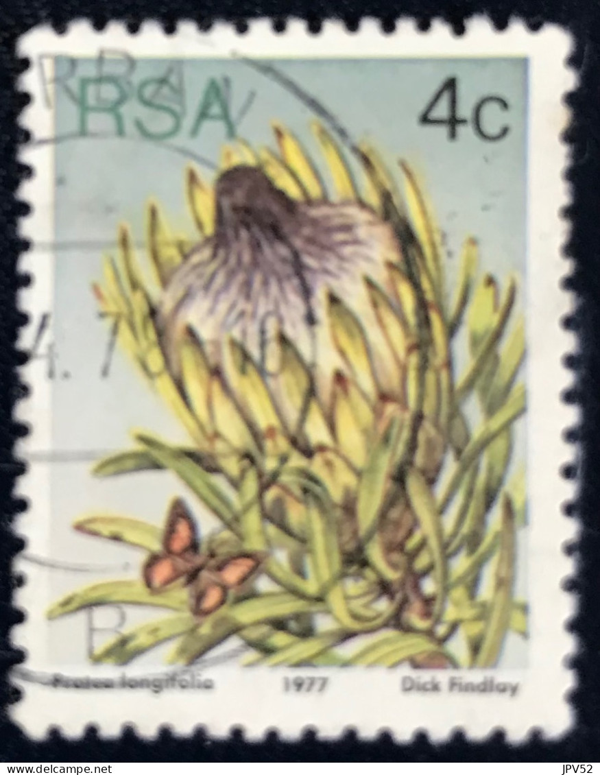 South Africa - RSA - C14/22 - 1977 - (°)used - Michel 515 - Protea - Oblitérés