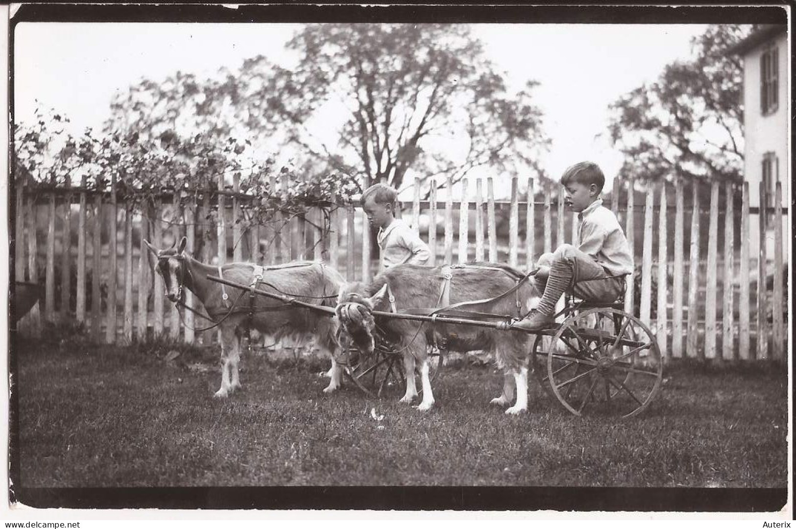 USA - Carte-photo A04 Editeur à Lancaster, PA  Goat Caravan Cart - Lancaster