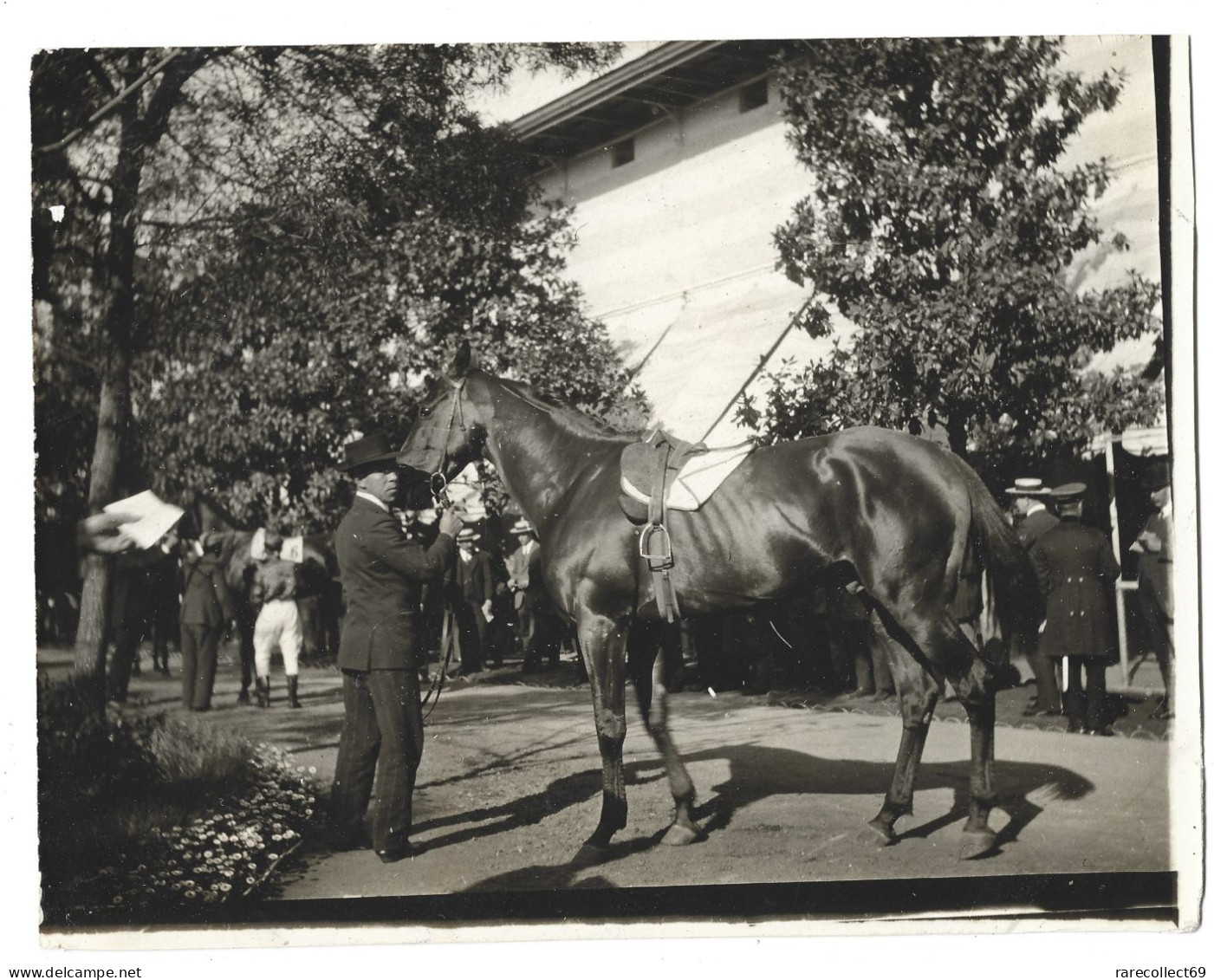 CHILI CHILE - SANTIAGO - 1911 -  Hippodrome Hipodromo - Photo Originale - Cheval De Course - Amerika