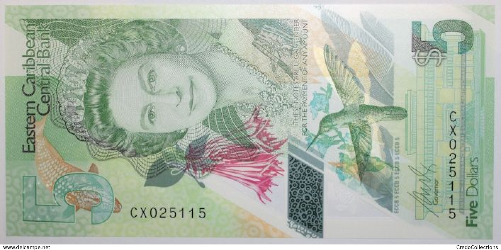 Caraïbes De L'Est - 5 Dollars - 2020 - PICK 60a - NEUF - Ostkaribik