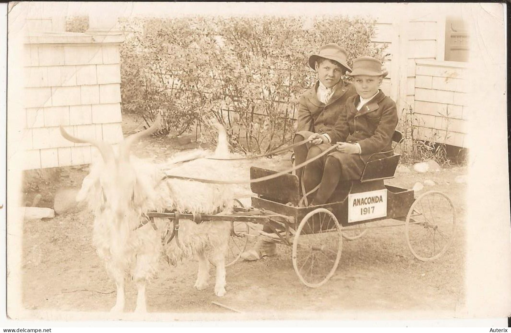 USA - Carte-photo Goat Cart Anaconda Montana 1917 - Anaconda