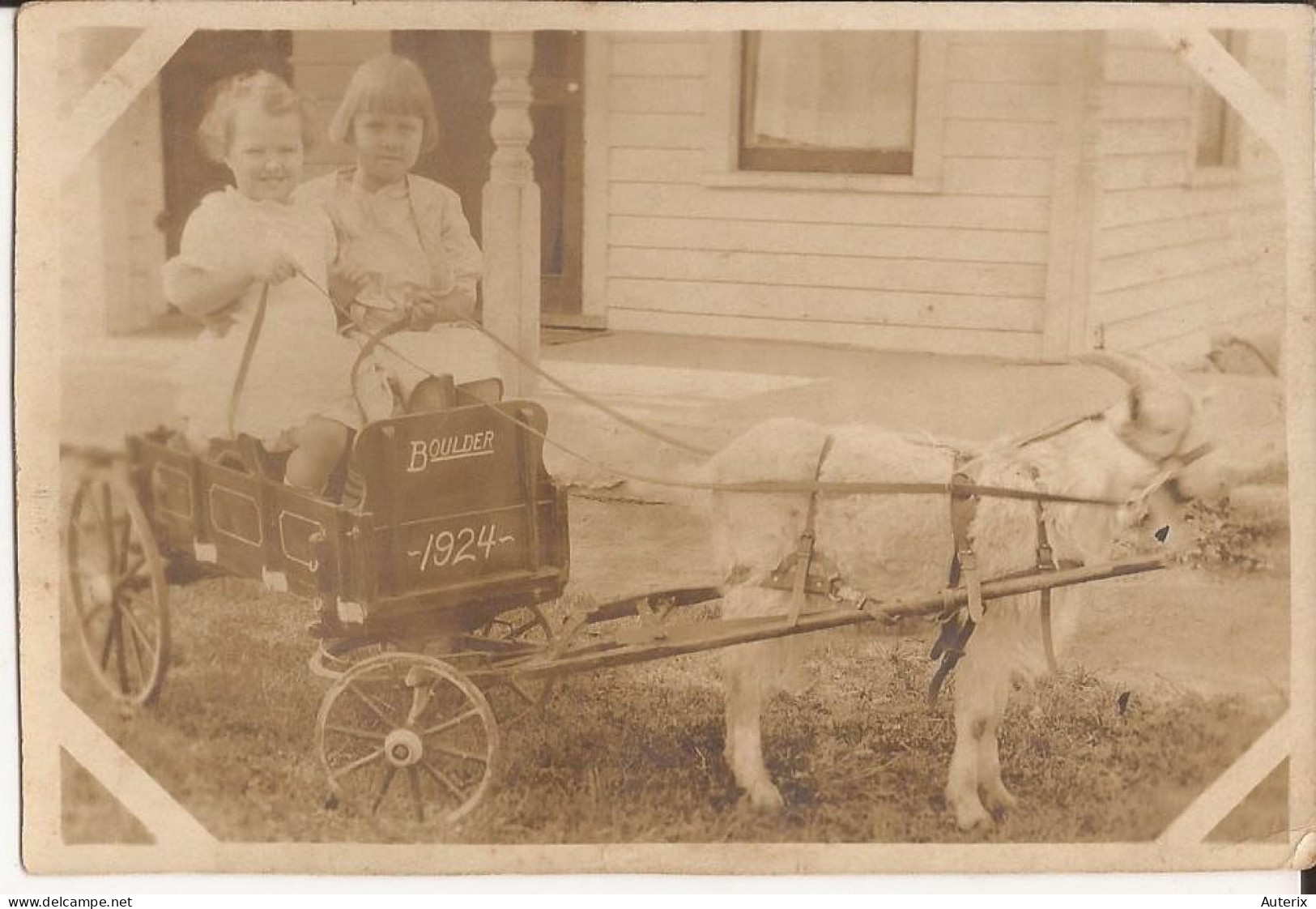 USA - Carte-photo Goat Cart Boulder, Colorado 1924 - Autres & Non Classés