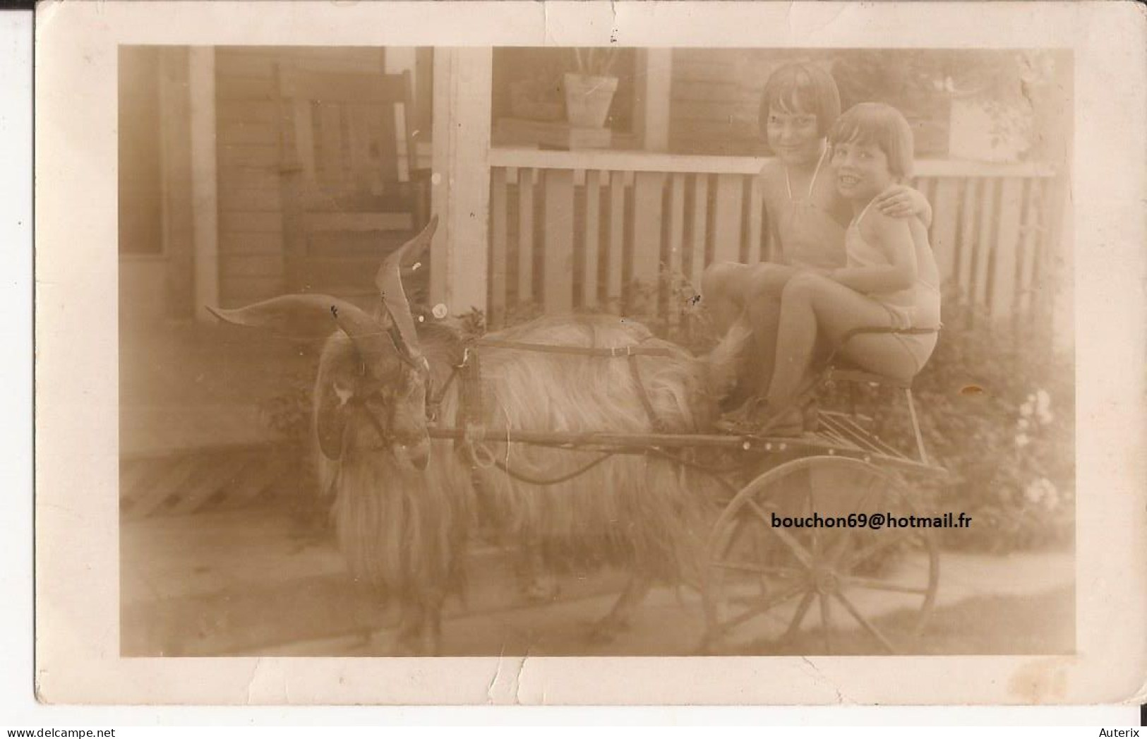 USA - Carte-photo Goat Cart Carte Photo  Los Angeles California - Los Angeles