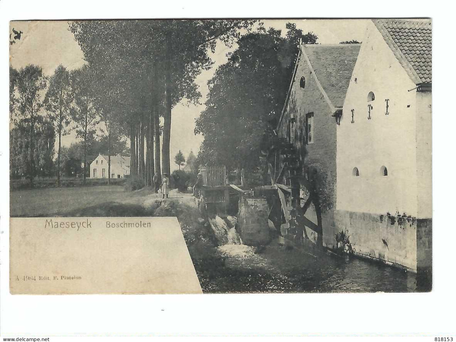 Maaseik  Maeseyck    Boschmolen 1905 - Maaseik