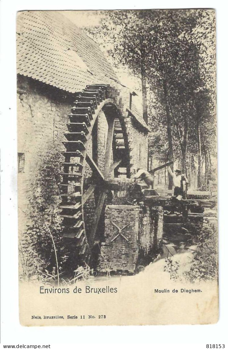 Diegem  Environs De Bruxelles  Moulin De Dieghem  1920 - Machelen