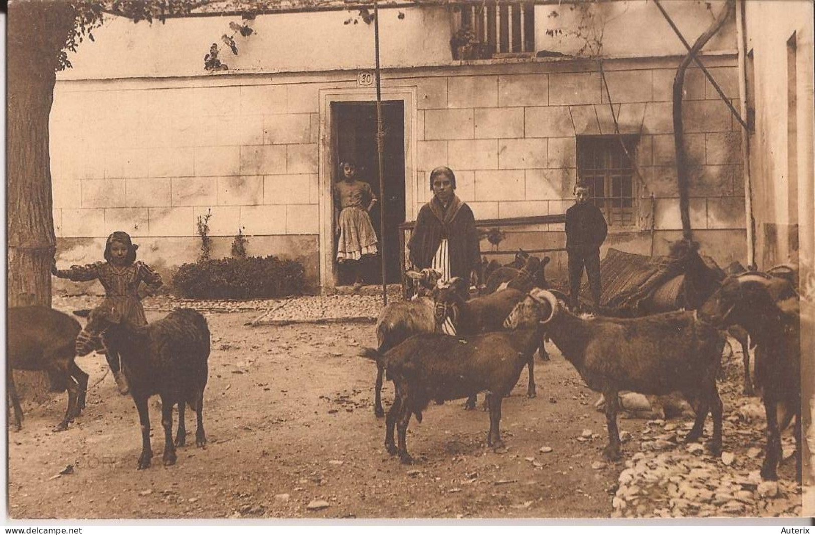Espagne - Cordoba - Tipos Y Costumbres - Sans Légende - Editeur à Madrid Cabras Goat - Córdoba