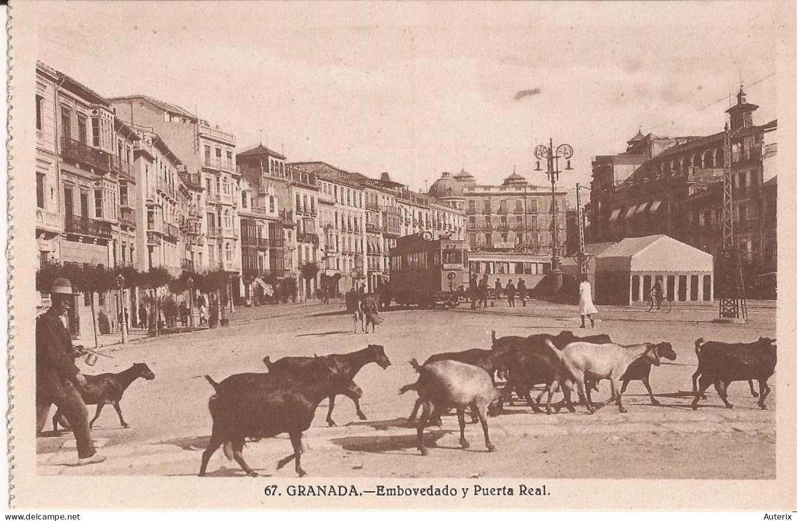 Espagne - Granada - Embovedado Y Puerta Real Cabras Goat - Granada