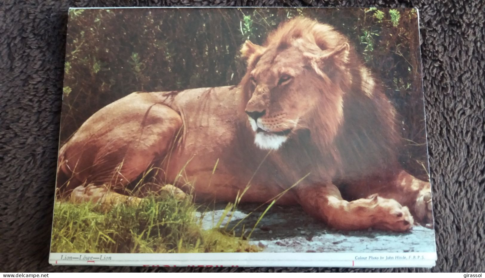 CPSM DEPLIANT LION GIRAFE GRUE ELEPHANT TOPI CARTE GEOGRAPHIQUE KENYA JOHN HINDE 1977 - Lions