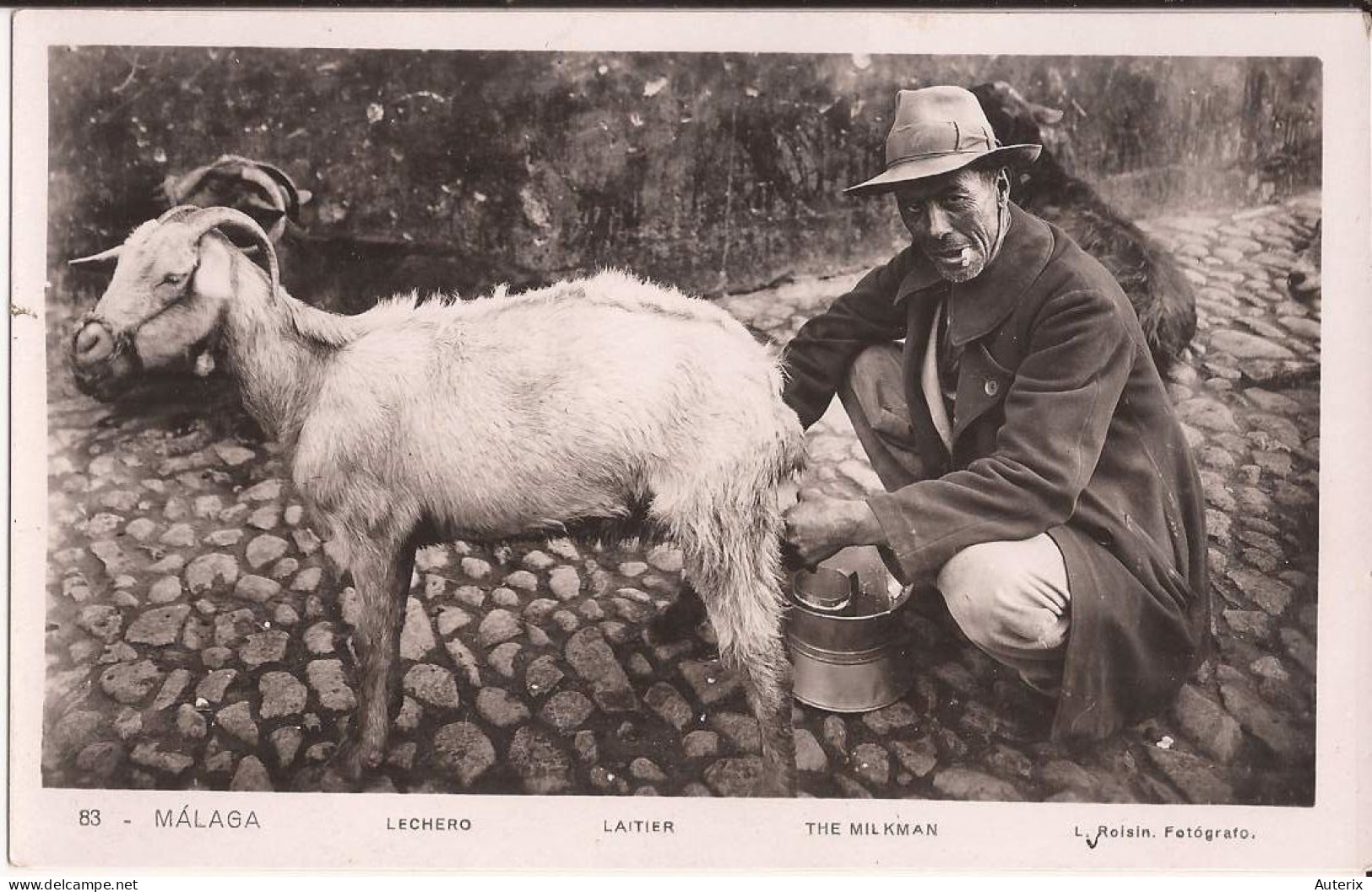 Espagne - Malaga - Lechero _ Laitier - Milkman Cabras Goat - Málaga