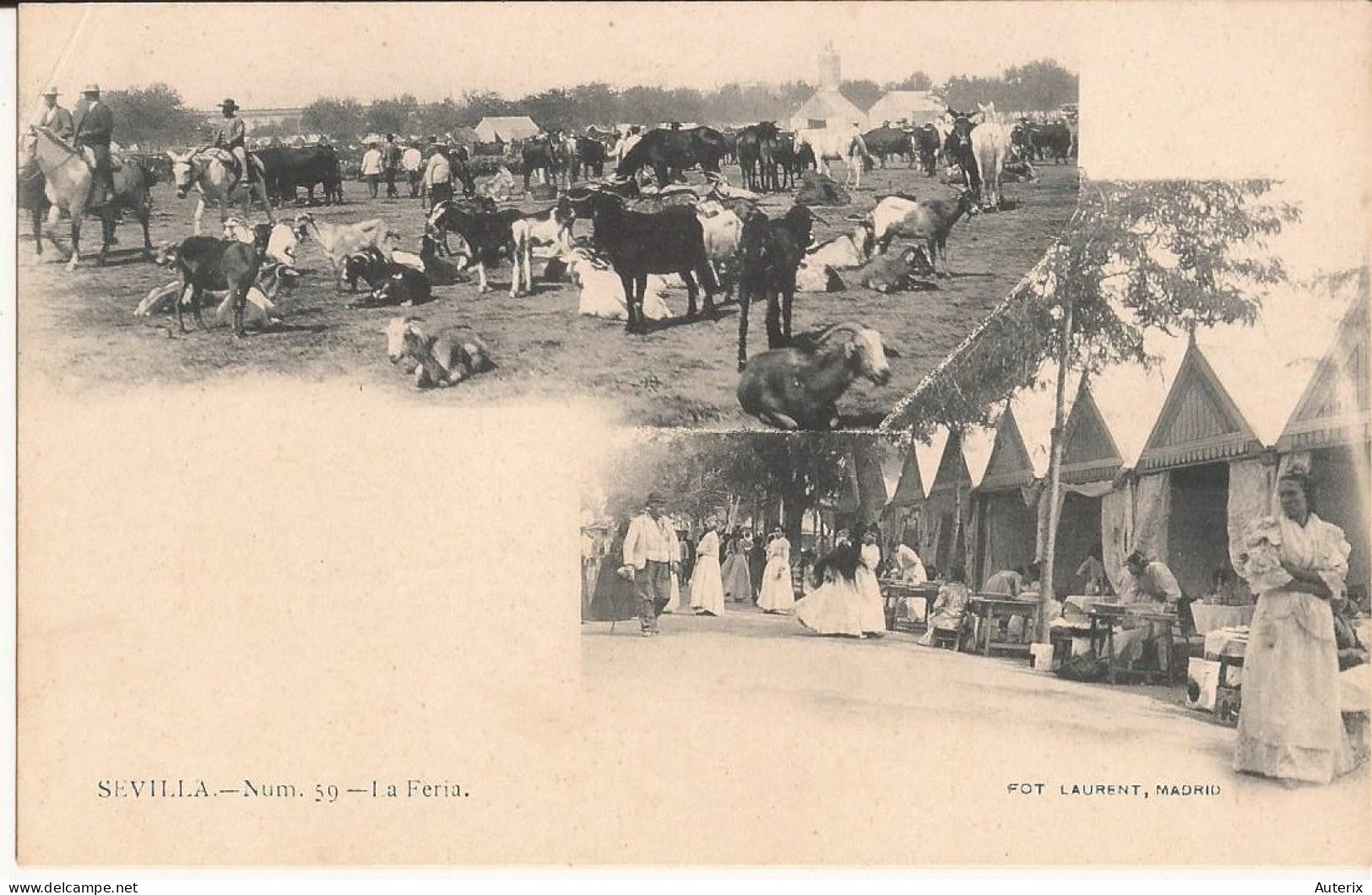 Espagne - Sevilla - La Feria - Laurent N°59 Cabras Goat - Sevilla (Siviglia)