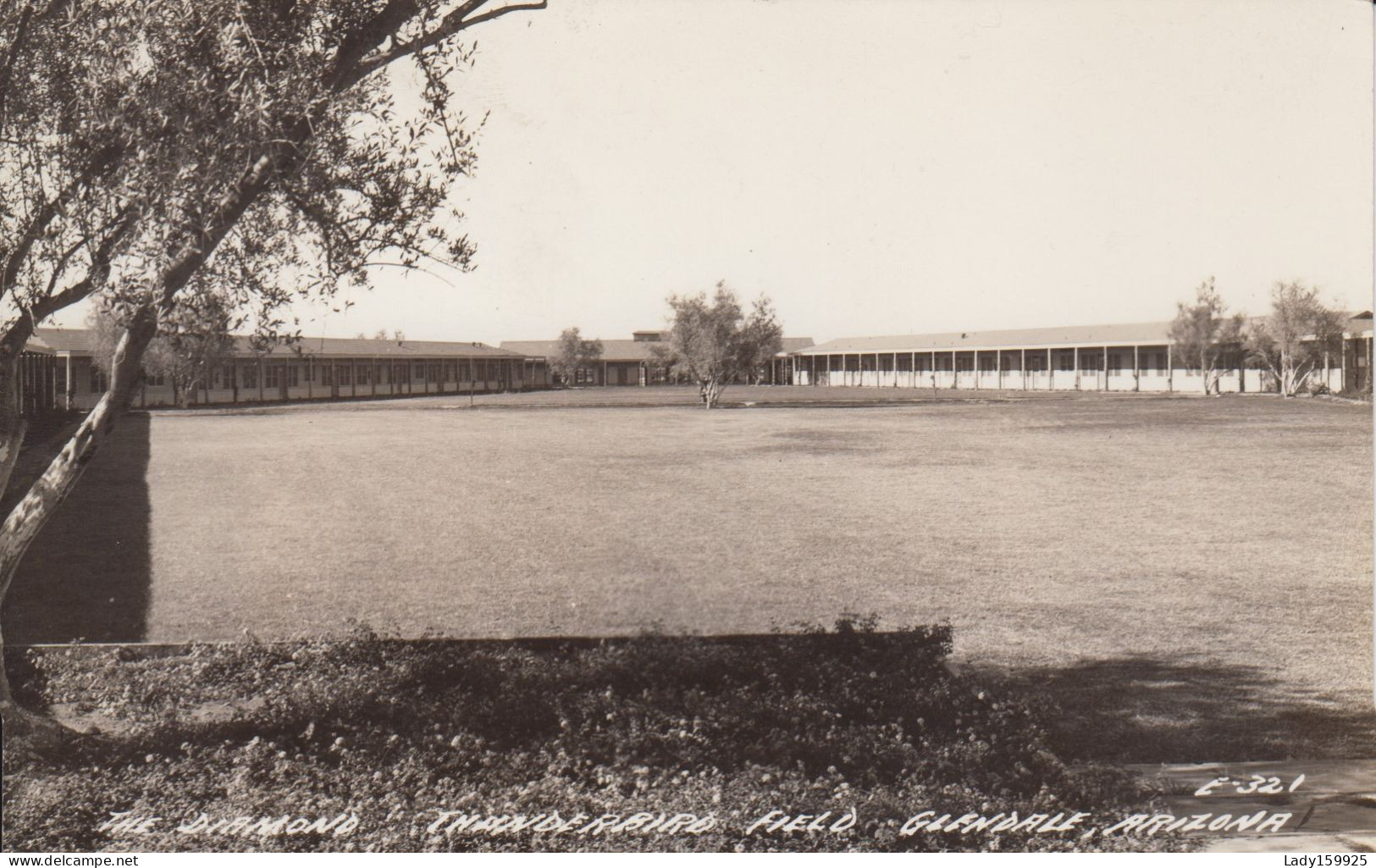 The Diamond Thunderbird Field Glendale Arizona USA  Real Photo B&W RPPC  EKC 1930-1950 - Glendale