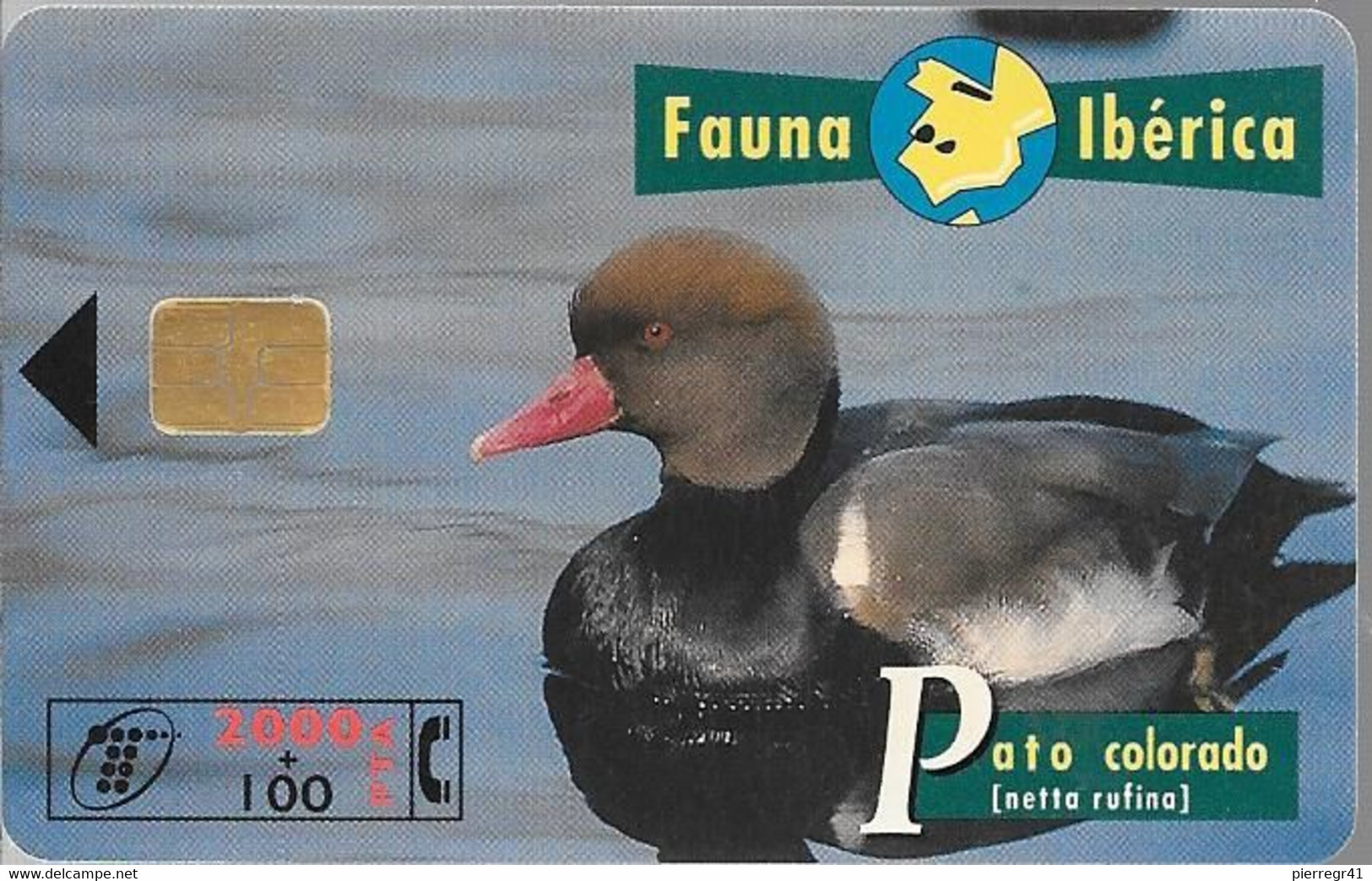 CARTE-PUCE-ESPAGNE-2000Pts-09/96-CANARD-PATO COLORADO-TBE - Gallinaceans & Pheasants