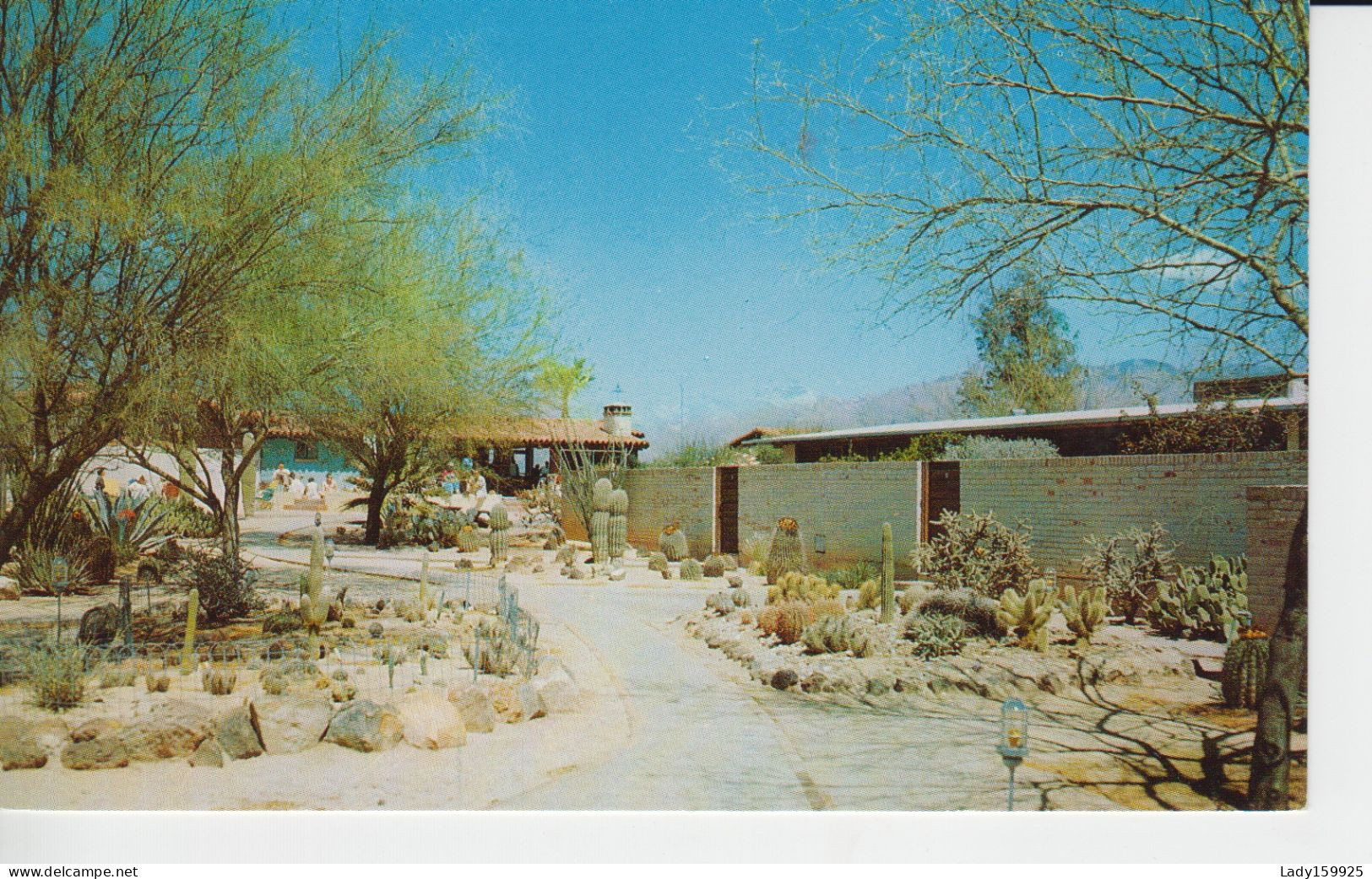 Ghost Ranch Lodge Tucson Arizona USA. Cactus Landscaping, Mountain, Animation - Tucson