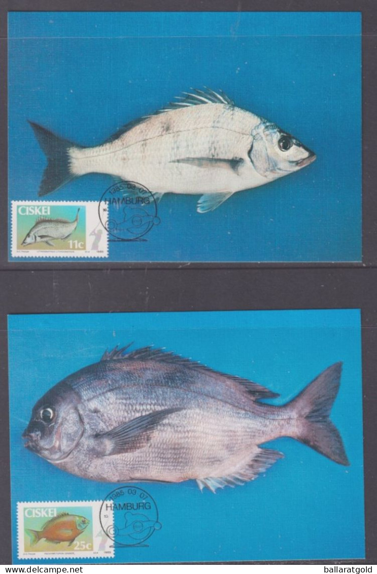 Ciskei 1985 Fishing Maxi Cards Set 4 - Ciskei