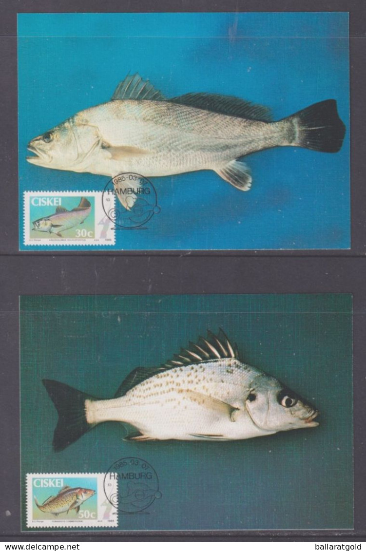 Ciskei 1985 Fishing Maxi Cards Set 4 - Ciskei