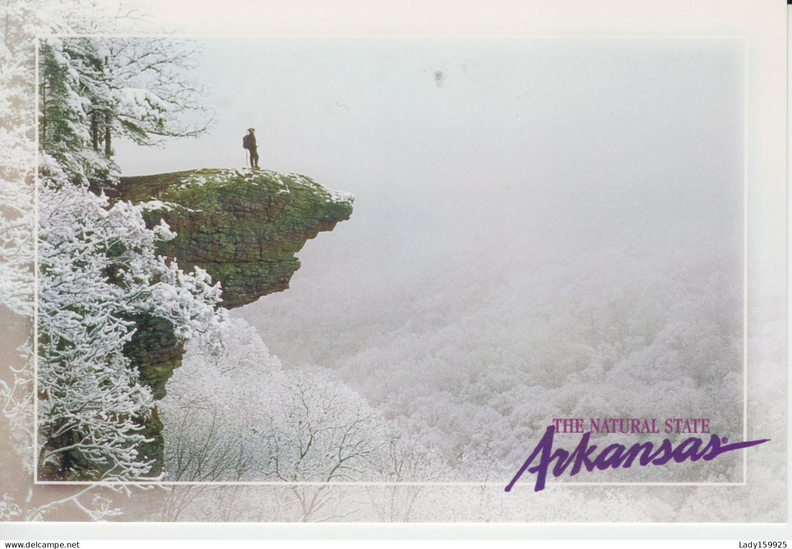 Natural State Arkansas USA Large Postcard 11 Cm X 15 Cm Hawksbill Crag At Buffalo River National Park Winter Snow - Other & Unclassified