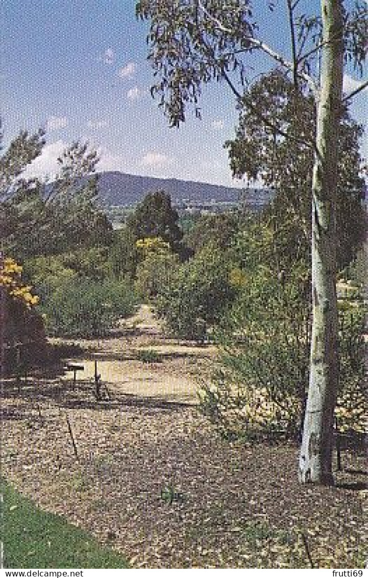 AK 165181 AUSTRALIA - Canberra Botanic Gardens - Canberra (ACT)