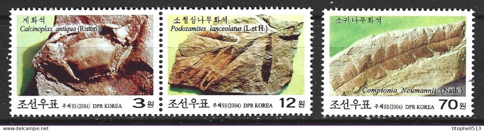 COREE DU NORD. Timbres De 2004. Fossiles. - Fossilien