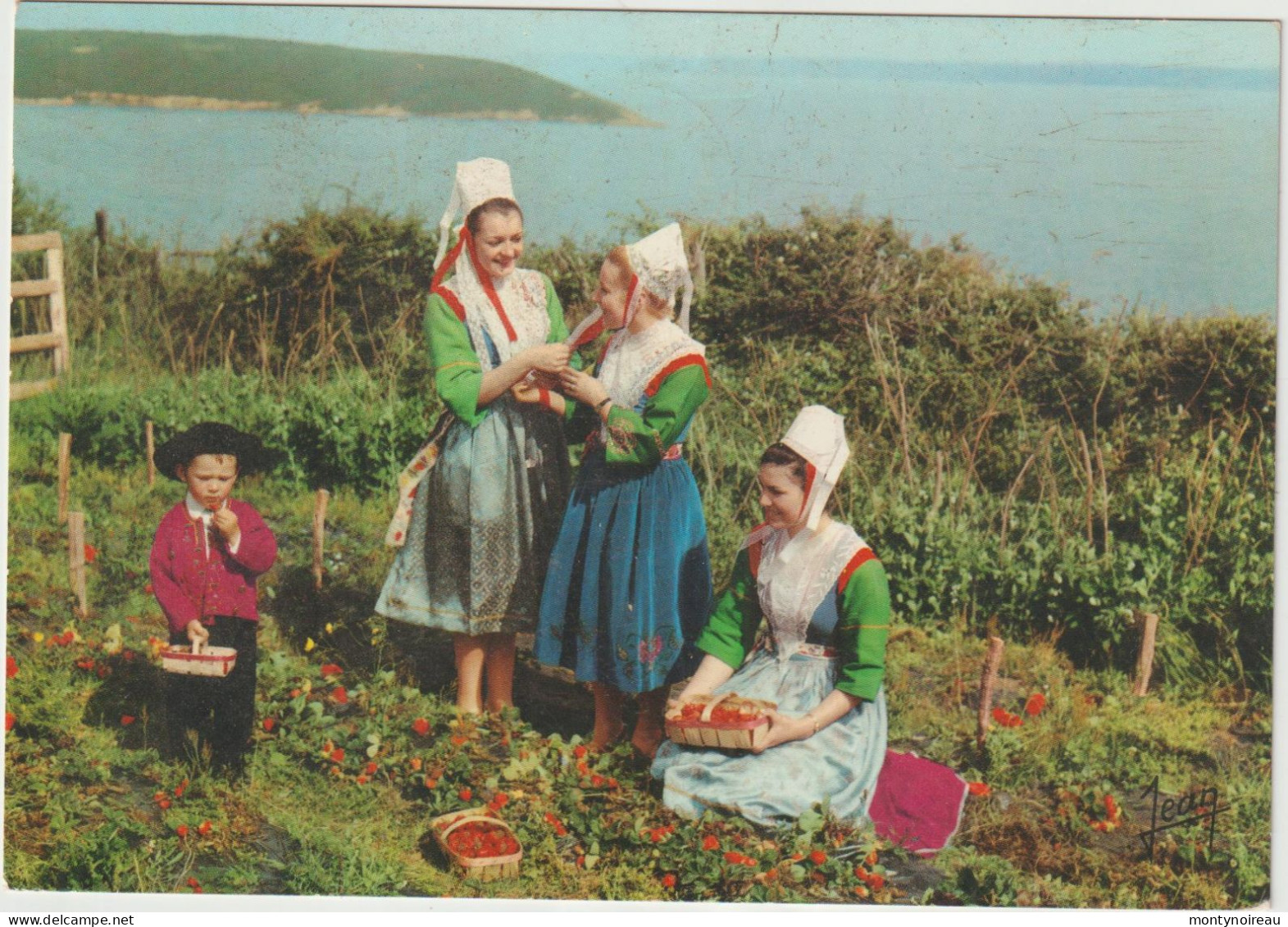 Dav : Finistère : Costumes De  PLOUGASTEL - DAOULAS , La  Ceuillette Des Fraises  1970 - Daoulas