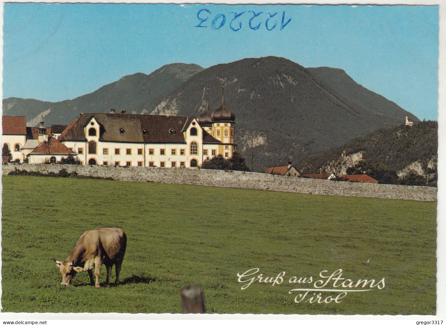 D5037) GRUSS Aus STAMS - Tirol  - Kuh Auf Wiese Mit Stift Und Kleiner Kirche Am Hang Dahinter - Stams