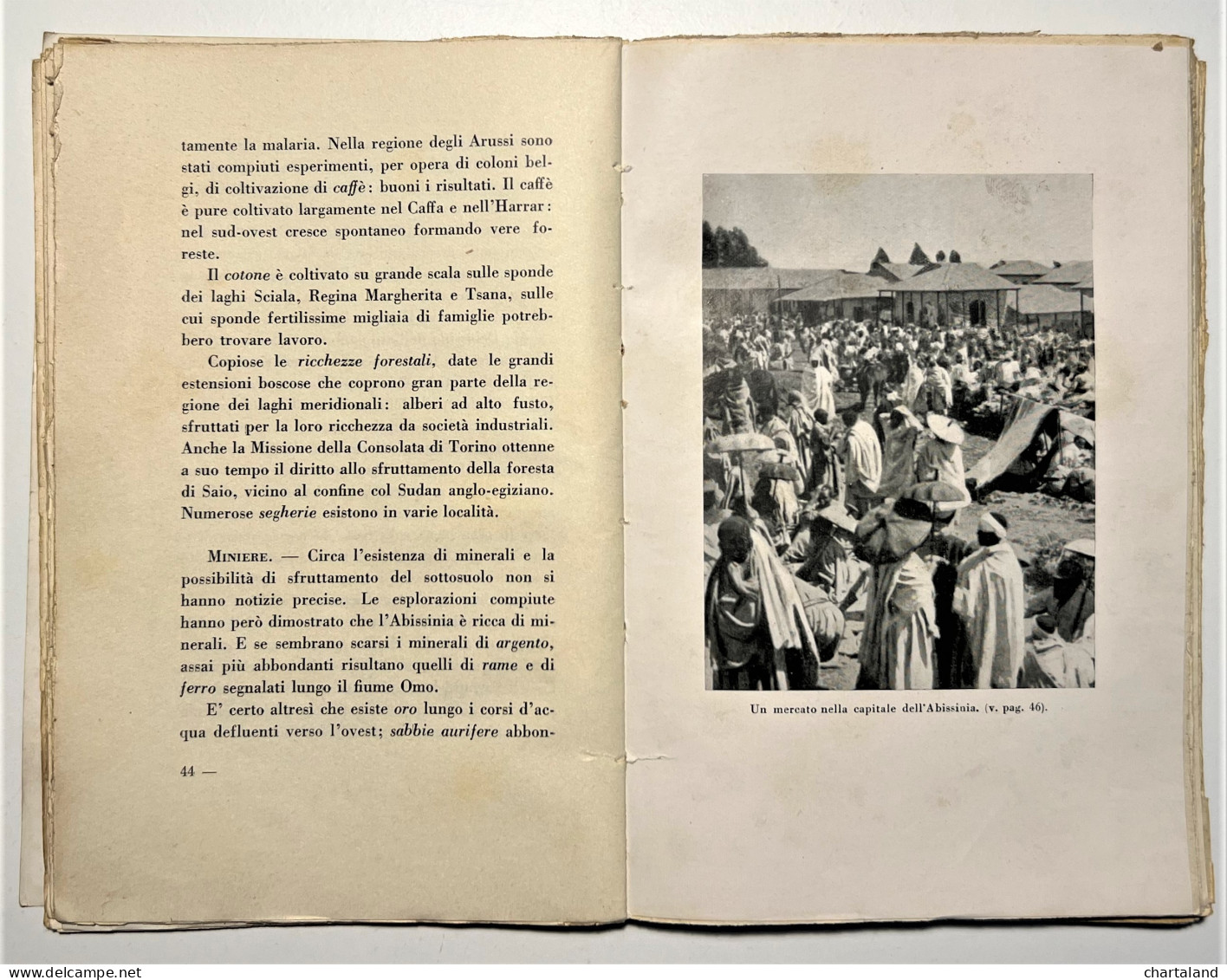 V. Varanini - L'Abissinia Attuale Sotto Tutti I Suoi Aspetti - Ed. 1935 - Altri & Non Classificati