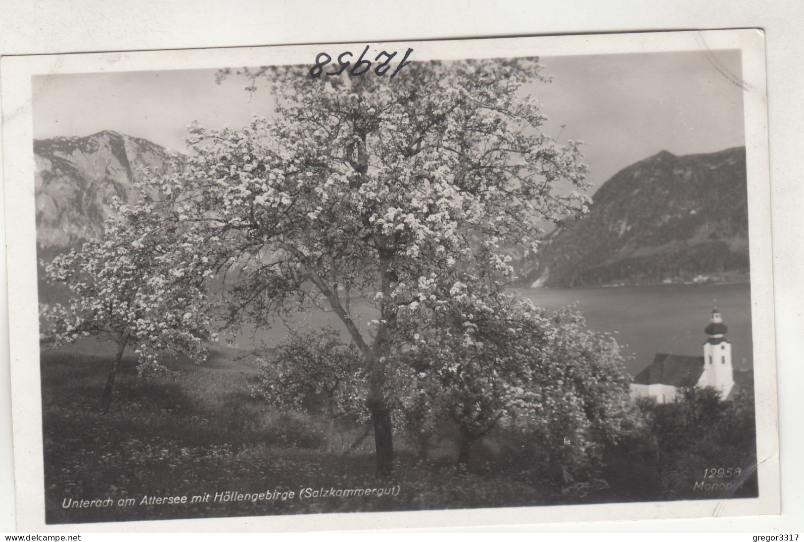 D5054) UNTERACH Am ATTERSEE -Salzkammergut - Blühende Bäume Mit Kirche - Attersee-Orte