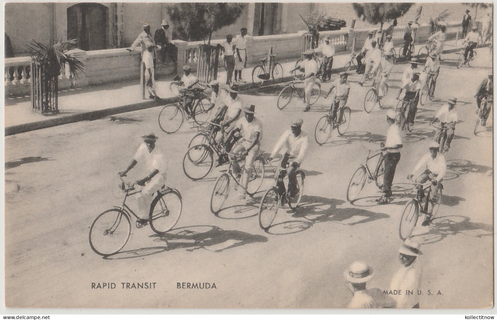 RAPID TRANSPORT - BERMUDA - LOTS OF BICYCLES - Bermuda