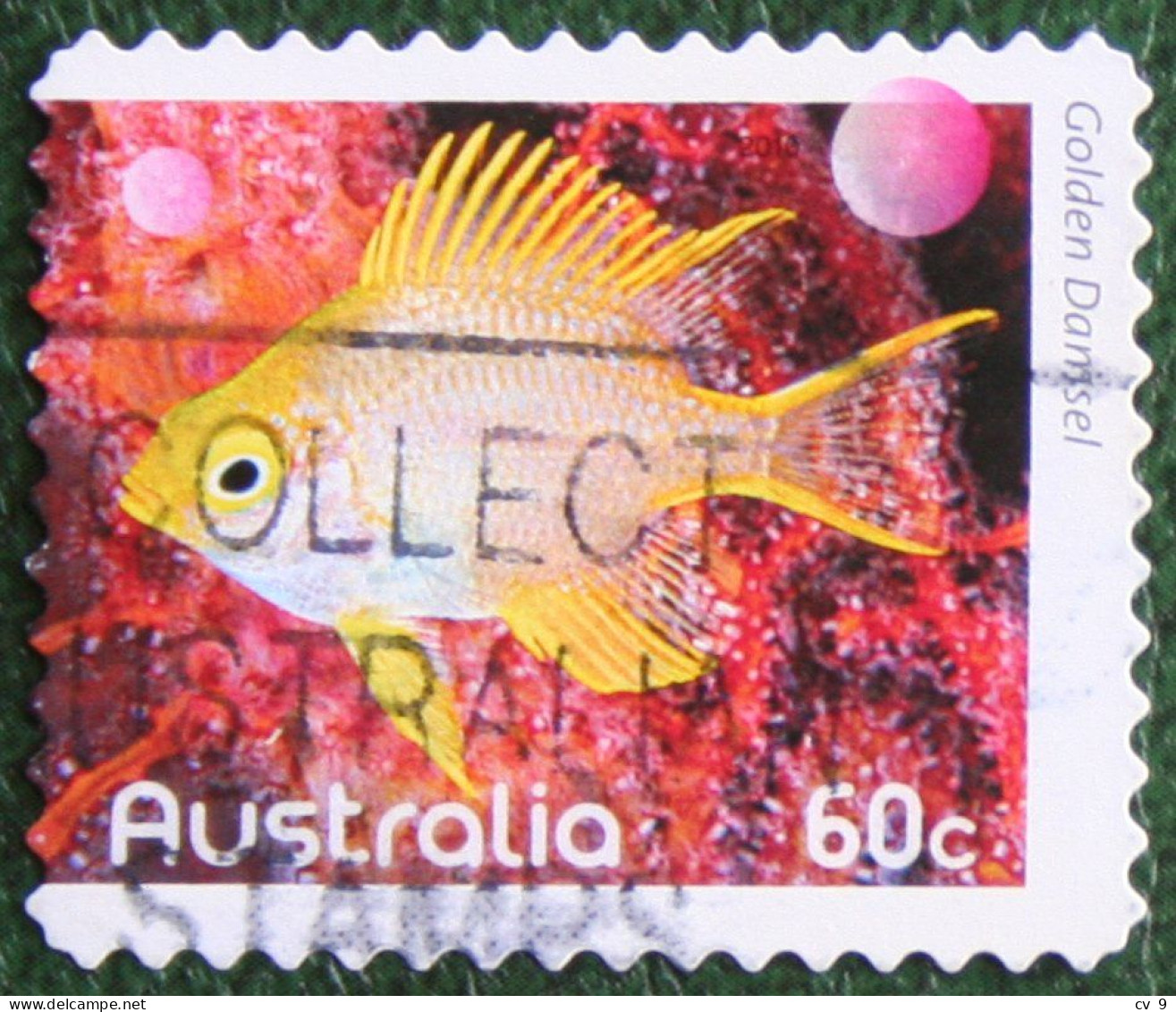 Tropical Fish FISHES OF THE REEF 2010 Mi 3403 Y&T - Used Gebruikt Oblitere Australia Australien Australie - Used Stamps