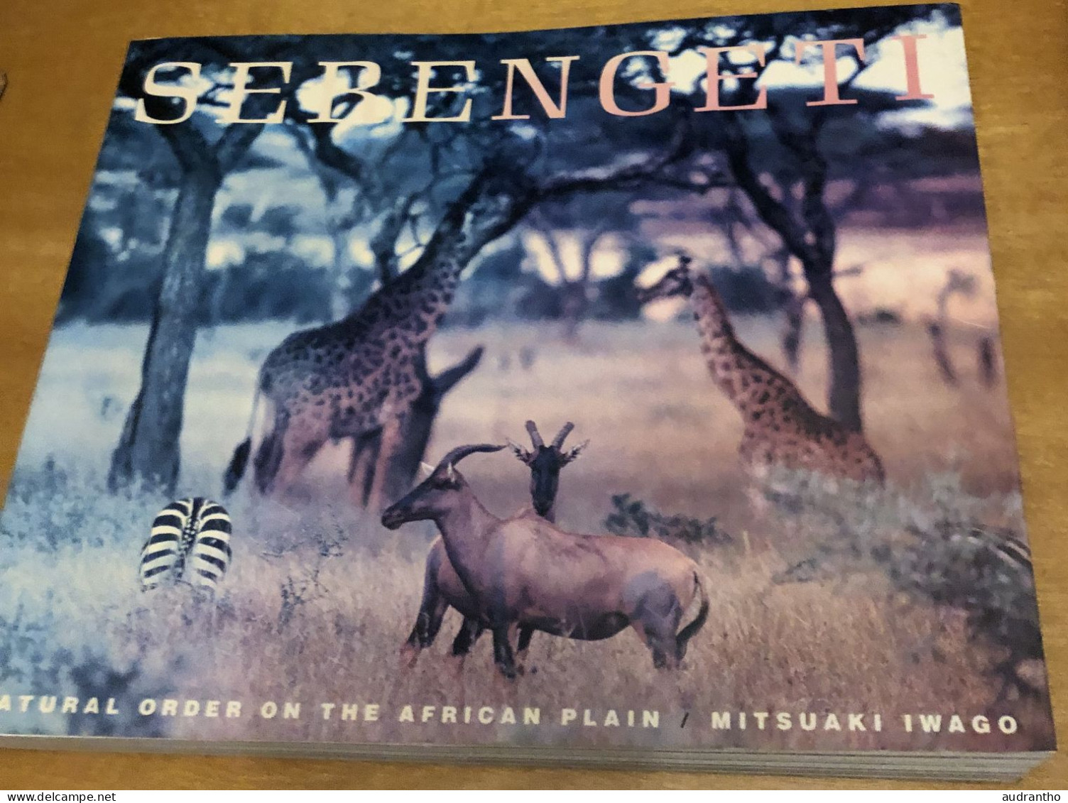 SERENGETI - Natural Order On The African Plain - Mitsuaki Iwago 1950 Savane Animaux Photos Couleur National Geography - Afrika