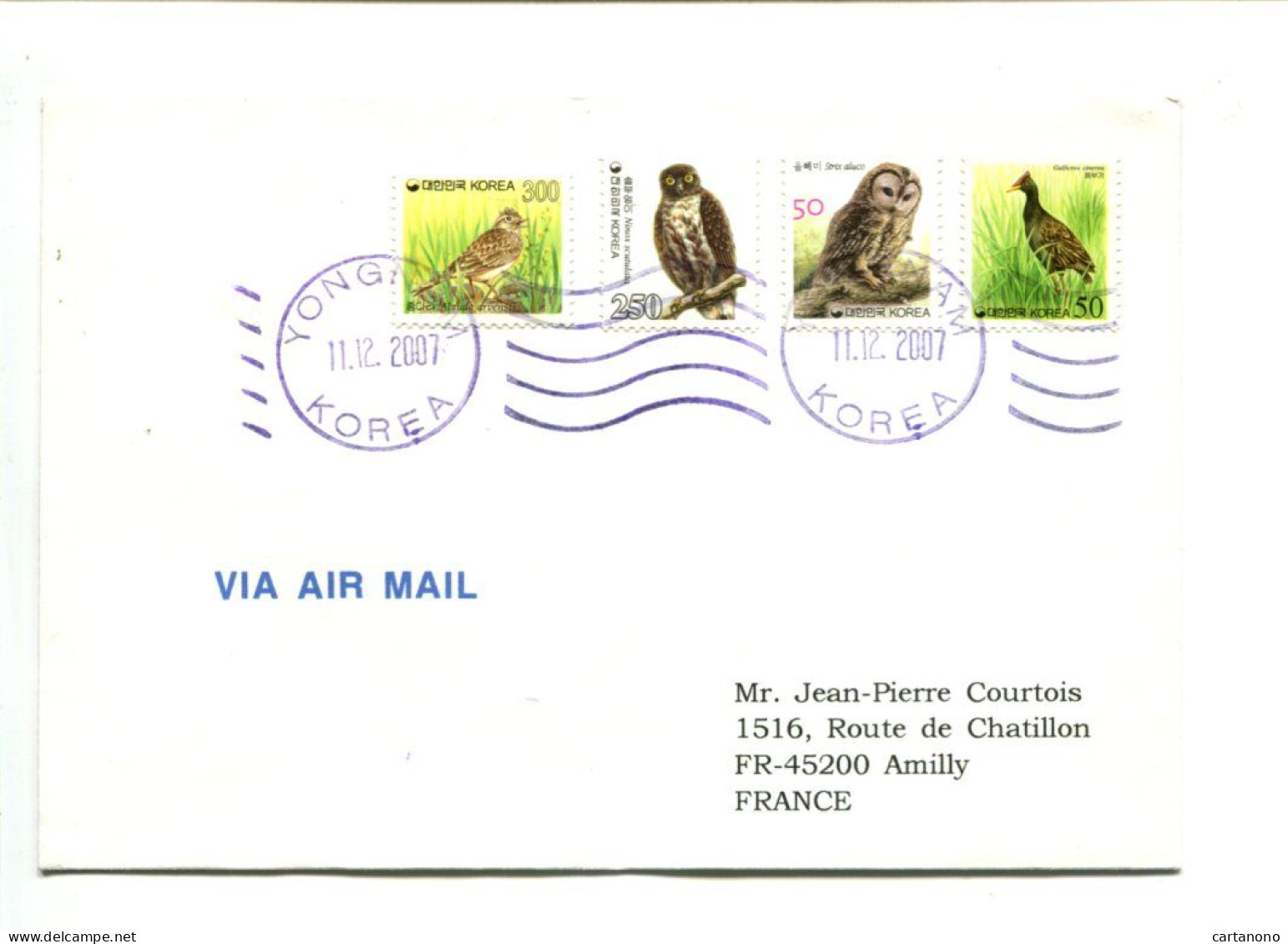 CHOUETTE - AUSTRALIE -  Affranchissement Sur Lettre Par Avion - Oiseau / Chouette - Gufi E Civette